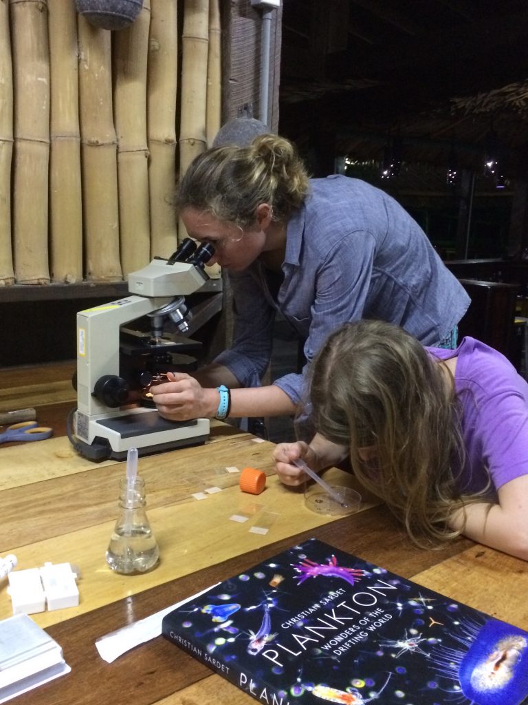 sheri floge at microscopy